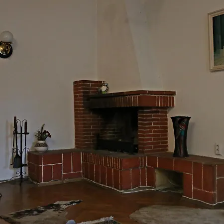 Spacious With A Fireplace Sofia