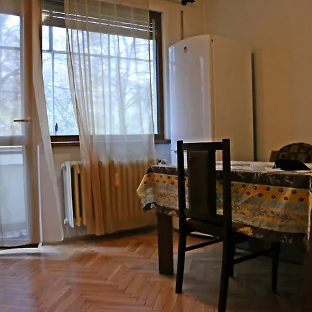 Spacious With A Fireplace Appartamento *