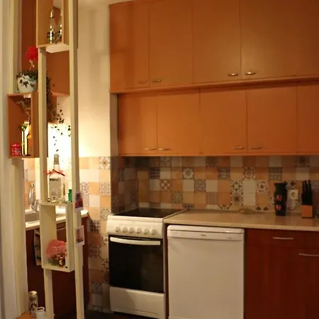 Spacious With A Fireplace Apartment *