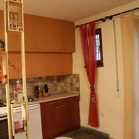 Apartment Spacious With A Fireplace Sofia