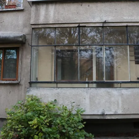 Spacious With A Fireplace Apartment