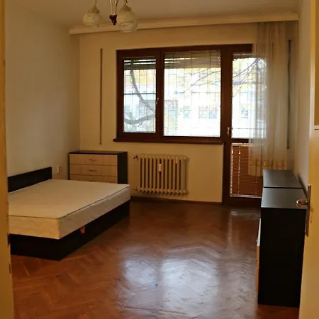 Spacious With A Fireplace Apartment Sofia