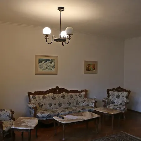Spacious With A Fireplace Apartment Sofia