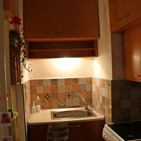 Apartment Spacious With A Fireplace *