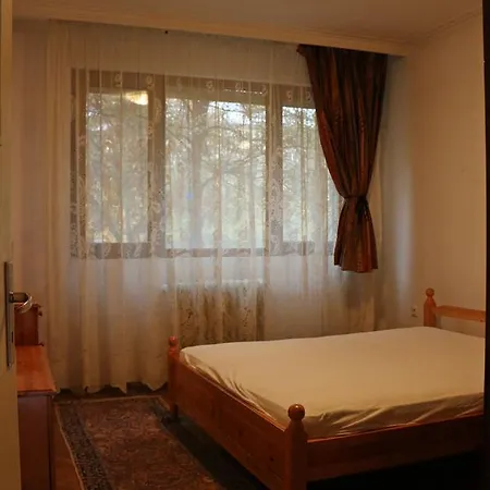 Spacious With A Fireplace Appartamento *