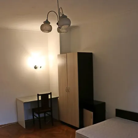 Spacious With A Fireplace